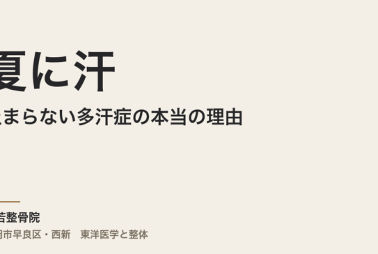 夏に汗が止まらない多汗症の本当の理由｜福岡市・常若整骨院が自律神経と東洋医学で整える