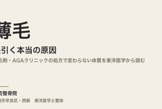 薄毛が長引く本当の原因｜育毛剤・AGAクリニックの処方で変わらない体質を東洋医学から読む｜福岡市早良区・常若整骨院
