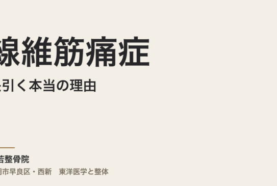線維筋痛症が長引く本当の理由｜福岡市・常若整骨院が伝える体質から読むアプローチ