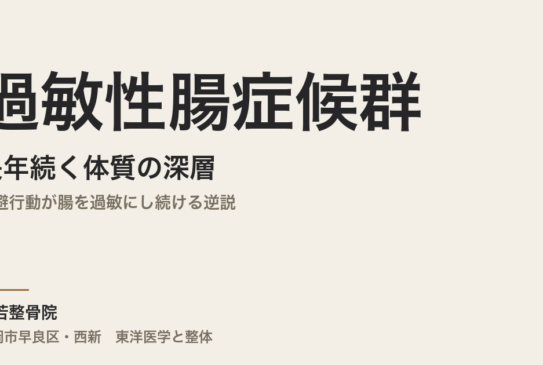 過敏性腸症候群が長年続く体質の深層｜回避行動が腸を過敏にし続ける逆説｜福岡市・常若整骨院