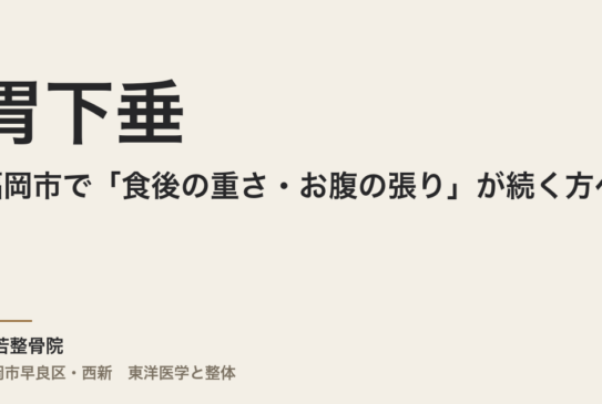 胃下垂と整体｜福岡市で「食後の重さ・お腹の張り」が続く方へ