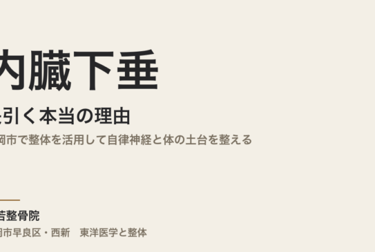 内臓下垂が長引く本当の理由｜福岡市で整体を活用して自律神経と体の土台を整える