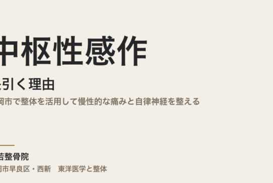 中枢性感作が長引く理由｜福岡市で整体を活用して慢性的な痛みと自律神経を整える