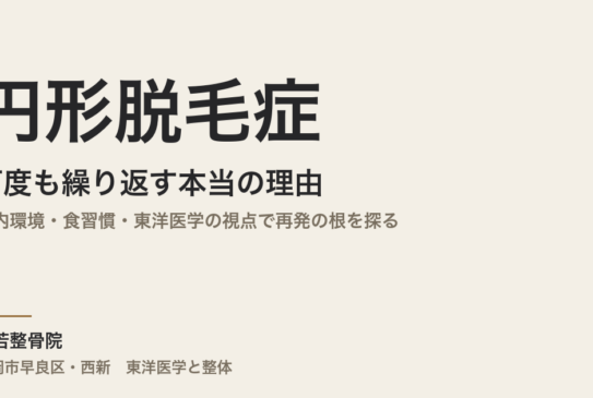 円形脱毛症が何度も繰り返す本当の理由｜腸内環境・食習慣・東洋医学の視点で再発の根を探る