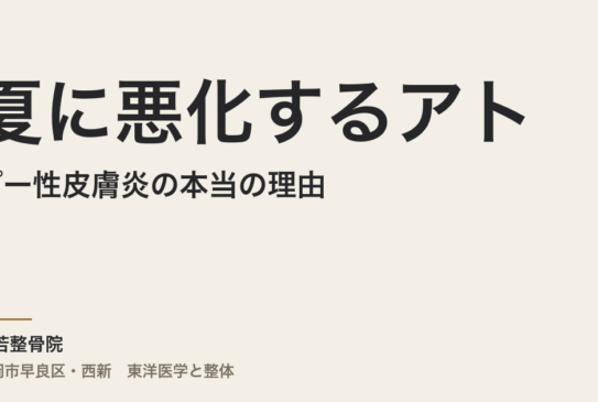 夏に悪化するアトピー性皮膚炎の本当の理由｜福岡市・常若整骨院が腸と自律神経から全身を整える