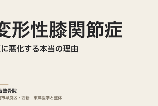 変形性膝関節症が夏に悪化する本当の理由｜福岡市・常若整骨院の整体で冷えと自律神経から整える