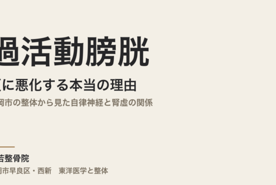 過活動膀胱が夏に悪化する本当の理由｜福岡市の整体から見た自律神経と腎虚の関係
