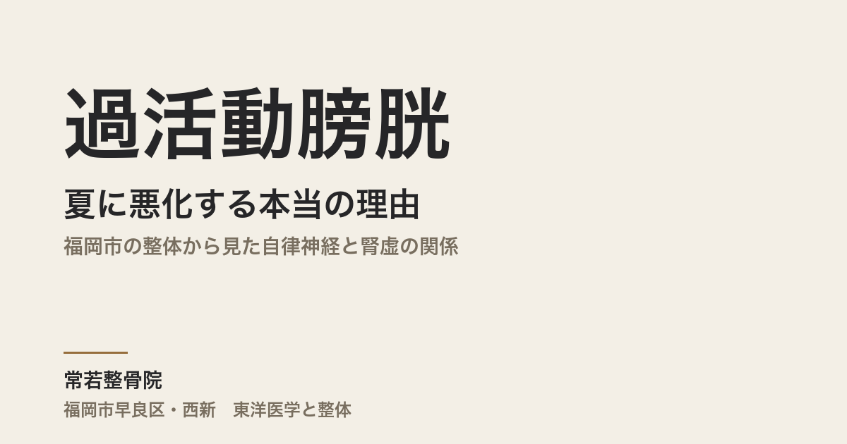 過活動膀胱が夏に悪化する本当の理由｜福岡市の整体から見た自律神経と腎虚の関係