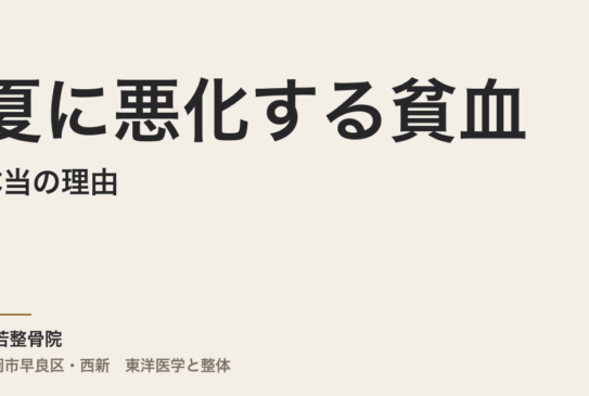 夏に悪化する貧血の本当の理由｜福岡市・常若整骨院で身体の回復力を整える