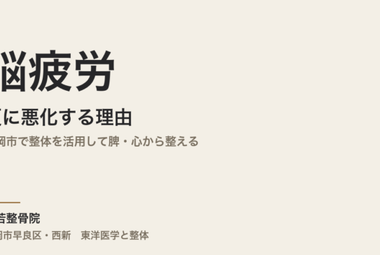 脳疲労が夏に悪化する理由｜福岡市で整体を活用して脾・心から整える