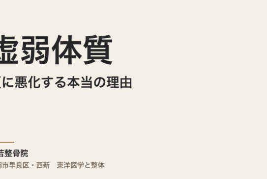虚弱体質が夏に悪化する本当の理由｜福岡市・常若整骨院で整える体の底力