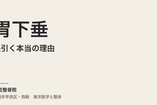 胃下垂が長引く本当の理由｜福岡市・常若整骨院が「下がった気」を東洋医学から読み解く