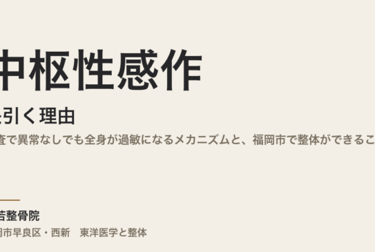 中枢性感作が長引く理由｜検査で異常なしでも全身が過敏になるメカニズムと、福岡市で整体ができること