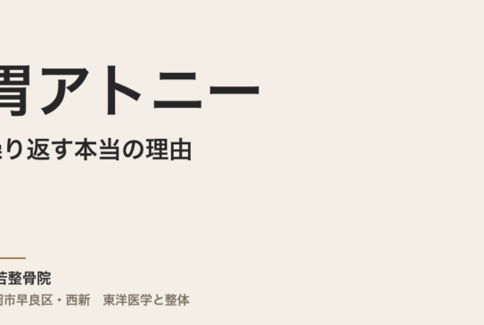 胃アトニーが繰り返す本当の理由｜福岡市・常若整骨院で自律神経と体質から整える