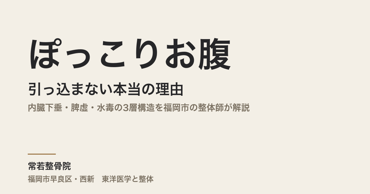 ぽっこりお腹が引っ込まない本当の理由｜内臓下垂・脾虚・水毒の3層構造を福岡市の整体師が解説