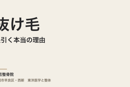 抜け毛が長引く本当の理由｜福岡市・常若整骨院で自律神経と体質から整える