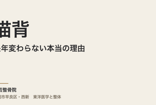 猫背が長年変わらない本当の理由｜福岡市・常若整骨院で自律神経と体の緊張から整える