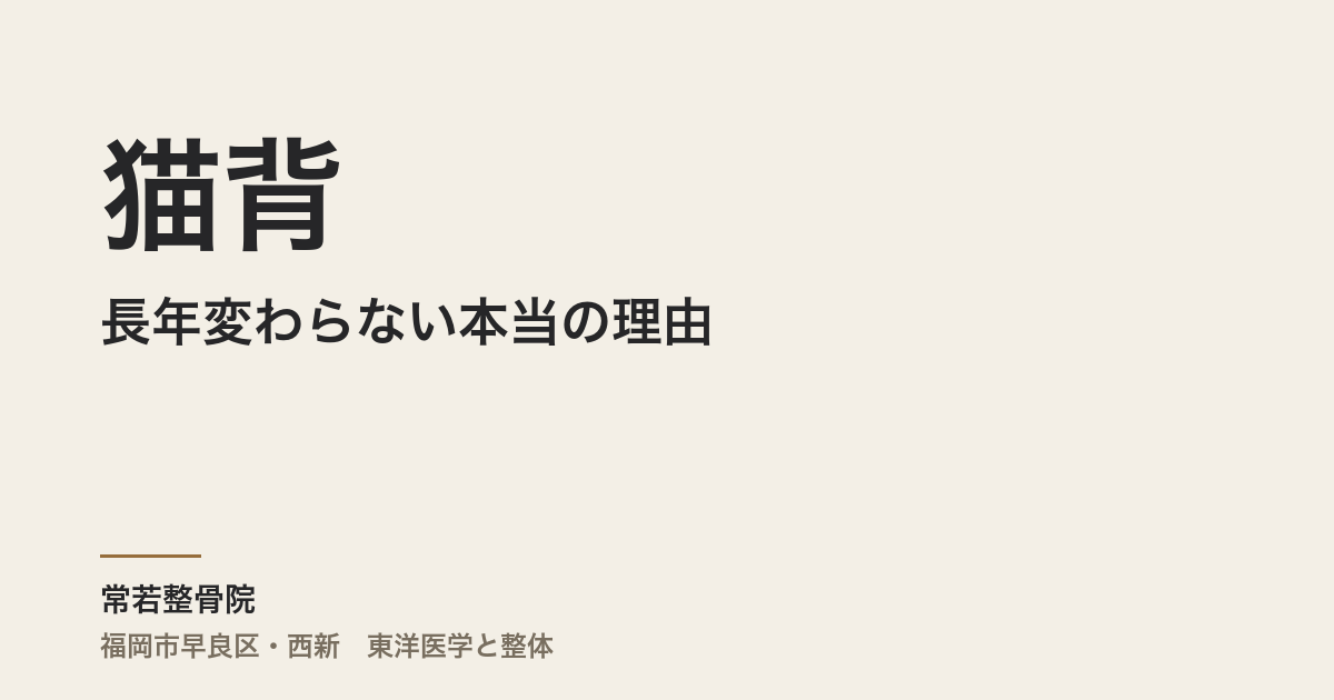 猫背が長年変わらない本当の理由|福岡市・常若整骨院で自律神経と体の緊張から整える