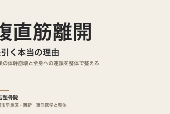 腹直筋離開が長引く本当の理由｜産後の体幹崩壊と全身への連鎖を整体で整える｜福岡市・常若整骨院