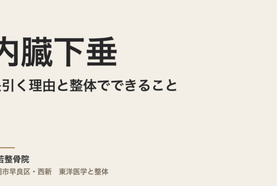 内臓下垂が長引く理由と整体でできること｜福岡市・常若整骨院