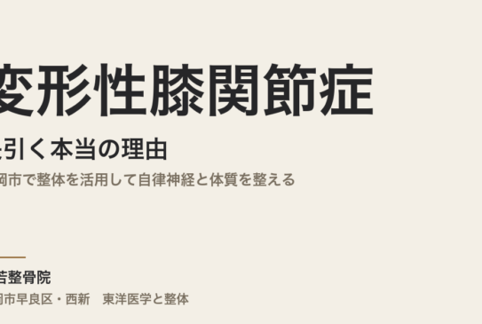 変形性膝関節症が長引く本当の理由｜福岡市で整体を活用して自律神経と体質を整える