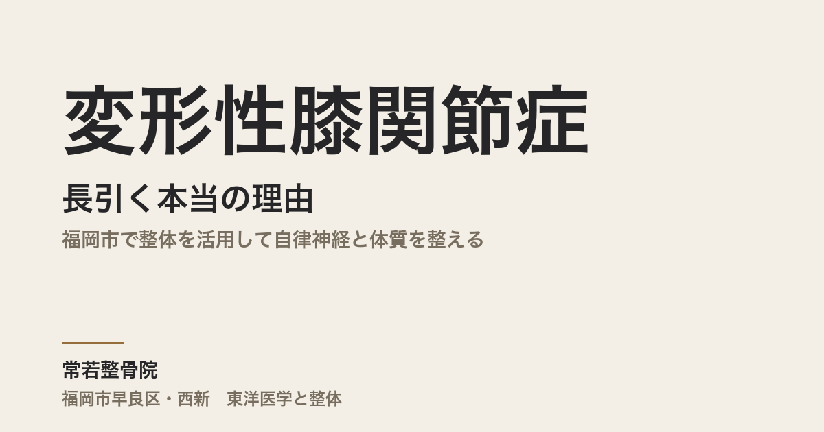 変形性膝関節症が長引く本当の理由|福岡市で整体を活用して自律神経と体質を整える