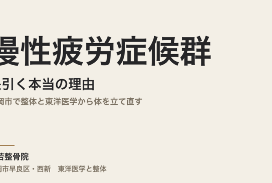 慢性疲労症候群が長引く本当の理由｜福岡市で整体と東洋医学から体を立て直す