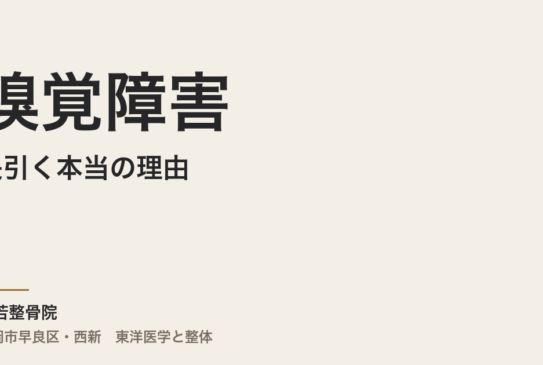 嗅覚障害が長引く本当の理由｜福岡市・常若整骨院が整体から解説する体質と嗅神経の回復