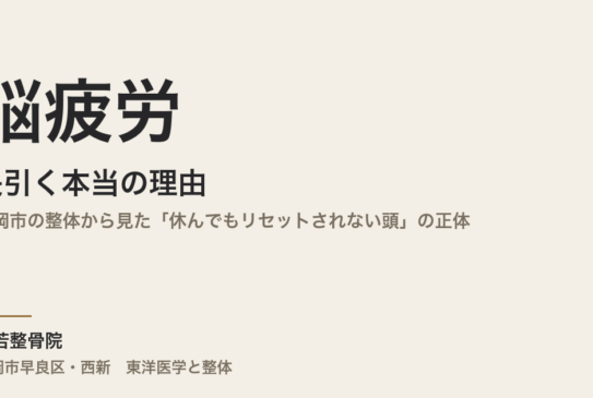 脳疲労が長引く本当の理由｜福岡市の整体から見た「休んでもリセットされない頭」の正体