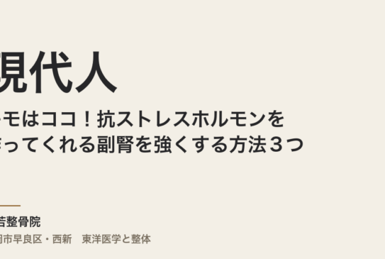 現代人のキモはココ！抗ストレスホルモンを作ってくれる副腎を強くする方法３つ