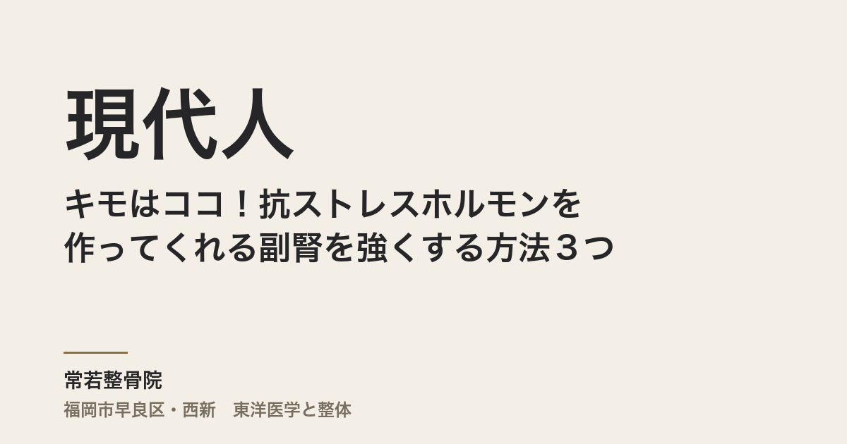 現代人のキモはココ!抗ストレスホルモンを作ってくれる副腎を強くする方法3つ