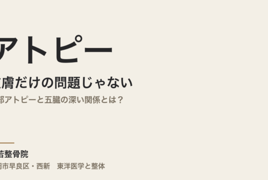 アトピーは皮膚だけの問題じゃない｜頭部アトピーと五臓の深い関係とは？