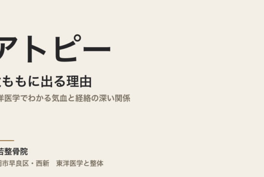 アトピーが太ももに出る理由｜東洋医学でわかる気血と経絡の深い関係