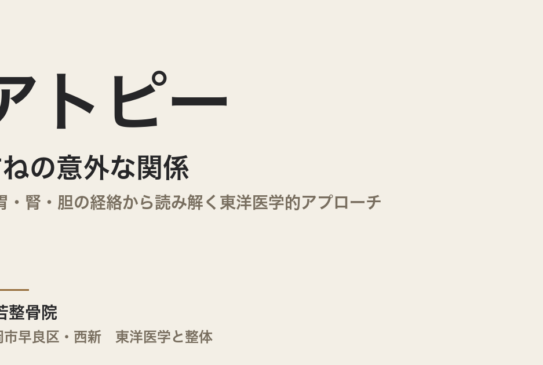 アトピーとすねの意外な関係｜脾胃・腎・胆の経絡から読み解く東洋医学的アプローチ