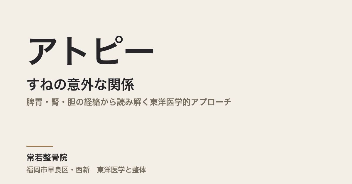 アトピーとすねの意外な関係|脾胃・腎・胆の経絡から読み解く東洋医学的アプローチ