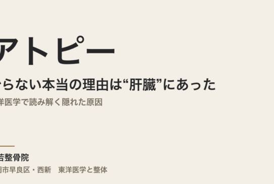アトピーが治らない本当の理由は“肝臓”にあった｜東洋医学で読み解く隠れた原因