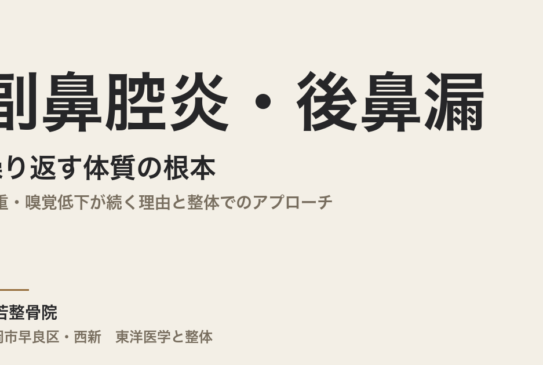 副鼻腔炎・後鼻漏が繰り返す体質の根本｜頭重・嗅覚低下が続く理由と整体でのアプローチ｜福岡市早良区