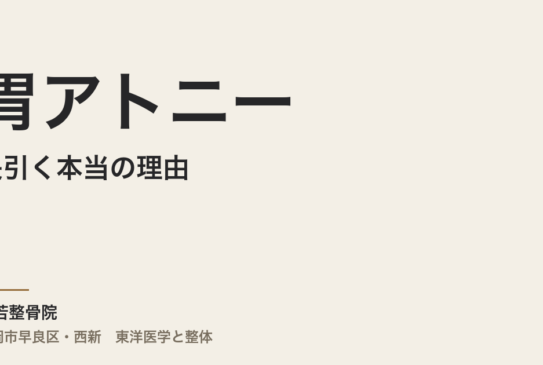 胃アトニーが長引く本当の理由｜福岡市・常若整骨院が伝える体質から整えるアプローチ