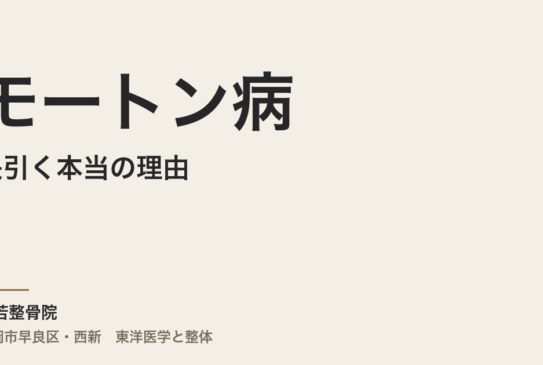 モートン病が長引く本当の理由｜福岡市・常若整骨院が東洋医学の視点で解説