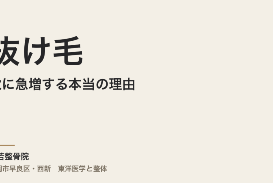 抜け毛が秋に急増する本当の理由｜福岡市・常若整骨院が東洋医学から読む体質の深層