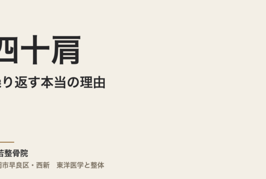 四十肩が繰り返す本当の理由｜福岡市・常若整骨院が東洋医学で診る体質とケアのアプローチ