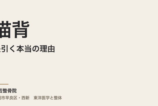 猫背が長引く本当の理由｜福岡市・常若整骨院で横隔膜と自律神経から整える