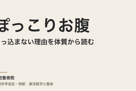 ぽっこりお腹が引っ込まない理由を体質から読む｜福岡市・常若整骨院の東洋医学的アプローチ