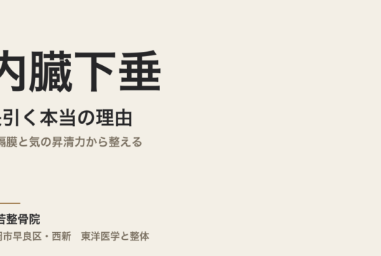 内臓下垂が長引く本当の理由｜横隔膜と気の昇清力から整える｜福岡市・常若整骨院