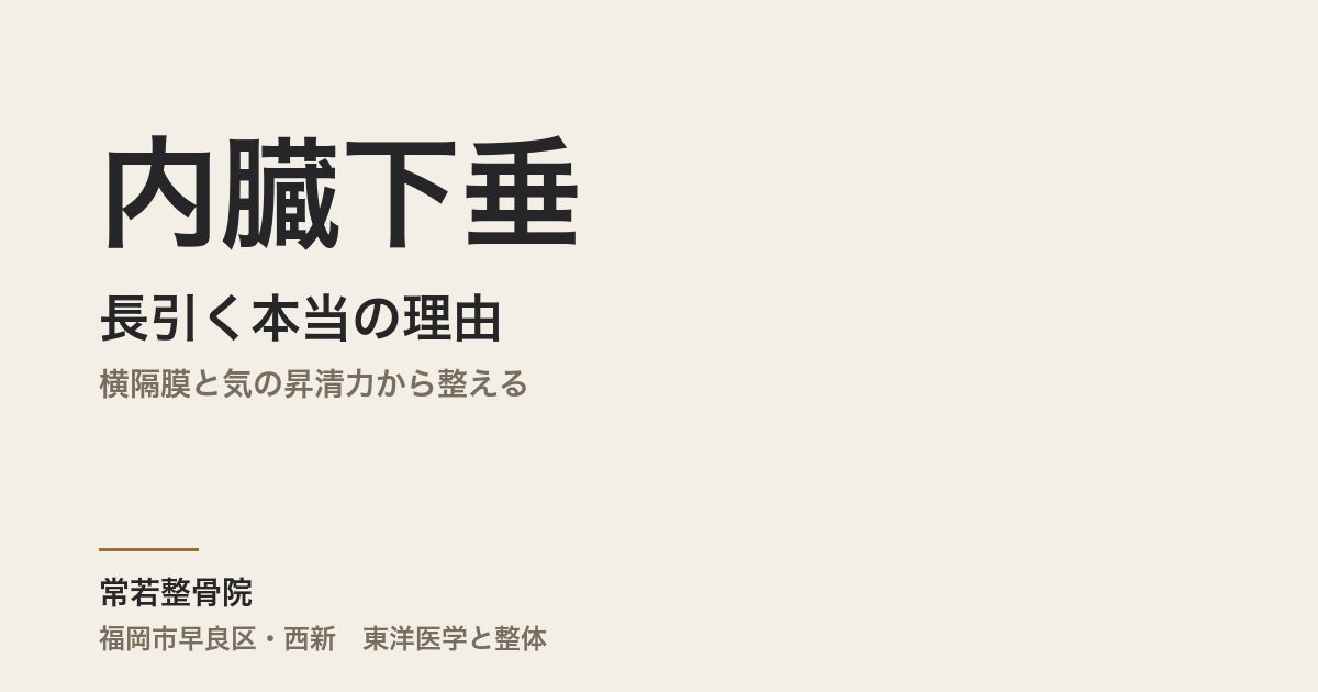 内臓下垂が長引く本当の理由|横隔膜と気の昇清力から整える|福岡市・常若整骨院