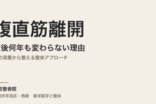 腹直筋離開が産後何年も変わらない理由｜体の深層から整える整体アプローチ｜福岡市・常若整骨院