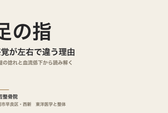 足の指の感覚が左右で違う理由｜骨盤の捻れと血流低下から読み解く｜福岡市・常若整骨院