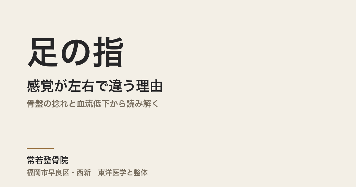 足の指の感覚が左右で違う理由|骨盤の捻れと血流低下から読み解く|福岡市・常若整骨院