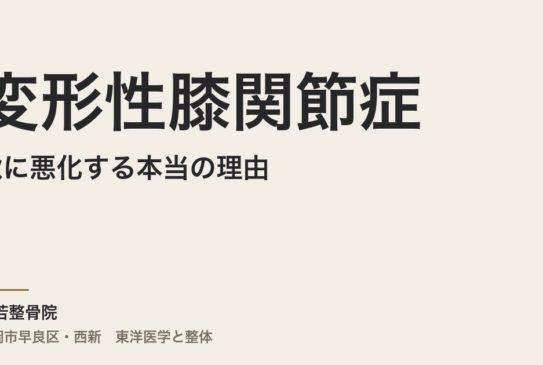 変形性膝関節症が秋に悪化する本当の理由｜福岡市・常若整骨院が腸内環境と自律神経から整えるアプローチを解説