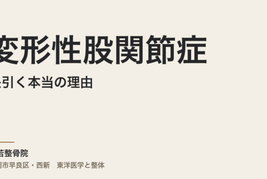 変形性股関節症が長引く本当の理由｜福岡市・常若整骨院の整体と東洋医学アプローチ
